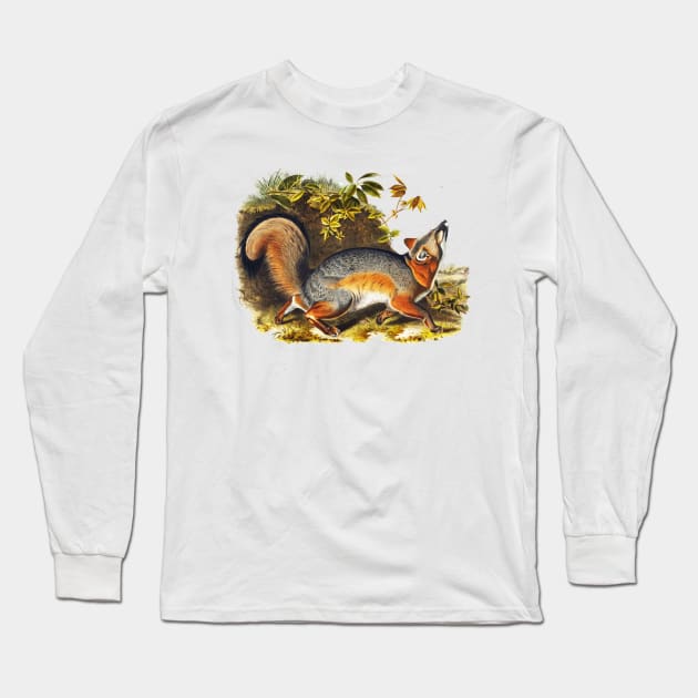 RED GREY FOX AMONG LEAVES Long Sleeve T-Shirt by BulganLumini